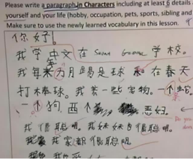 美国初中生中文考试走红，中国学生看了也说难