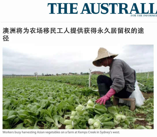 澳洲推出新签证:从事农业工作3年得永居!