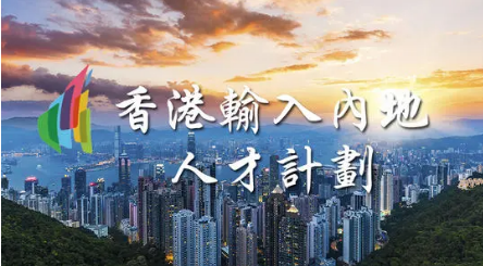 香港专才计划1.png